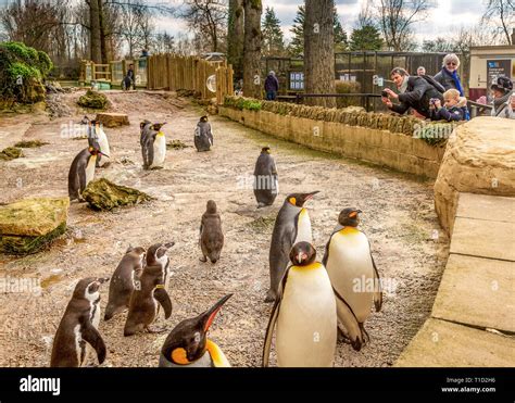 Birdland Park and Gardens .